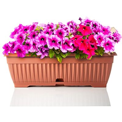 BigDean Blumenkasten Balkon mit Untersetzer 50cm Terracotta Balkonkasten Pflanzkasten Blumenkasten mit Wasserspeicher für Innen- & Außenbereich geeignet Made in Europe BigDean Blumenkasten Balkon mit Untersetzer 50cm Terracotta Balkonkasten Pflanzkasten Blumenkasten mit Wasserspeicher für Innen- & Außenbereich geeignet Made in Europe
