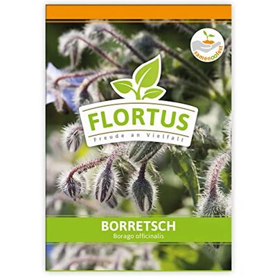 FLORTUS Freude an Vielfalt FLORTUS Borretsch Kräutersamen Borretschsamen Samen zur Anzucht für Garten, Balkon, Küche & Fensterbank FLORTUS Freude an Vielfalt FLORTUS Borretsch Kräutersamen Borretschsamen Samen zur Anzucht für Garten, Balkon, Küche & Fensterbank