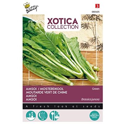 Arborix Buzzy Xotica Amsoi grun Arborix Buzzy Xotica Amsoi grun