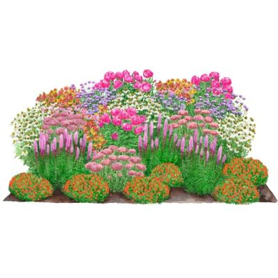 Dehner Bio Stauden-Set Blütenkollektion, 24 Stück, je 5-20 cm, Ø Topf 9 cm Landlust Kollektion, Gartenstauden für sonnige Standorte, Blütezeit Mai bis Oktober Dehner Bio Stauden-Set Blütenkollektion, 24 Stück, je 5-20 cm, Ø Topf 9 cm Landlust Kollektion, Gartenstauden für sonnige Standorte, Blütezeit Mai bis Oktober