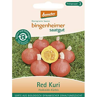 Bingenheimer Saatgut Hokkaido Kürbis Red Kuri Gemüse Saatgut / Samen Bingenheimer Saatgut Hokkaido Kürbis Red Kuri Gemüse Saatgut / Samen