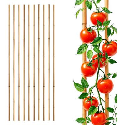Spetebo Bambus Pflanzstab für Rankgewächse 105 cm Länge, 10 Stück Bambusstab Rankhilfe für Tomatenpflanzen, Holz Pflanzenstütze, Tonkinstab, Kletterhilfe für Tomaten Gurken Pflanzen Spetebo Bambus Pflanzstab für Rankgewächse 105 cm Länge, 10 Stück Bambusstab Rankhilfe für Tomatenpflanzen, Holz Pflanzenstütze, Tonkinstab, Kletterhilfe für Tomaten Gurken Pflanzen