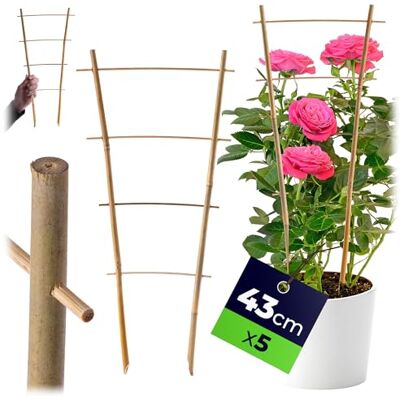 KADAX Rankgitter aus Bambus, 43 x 21 cm, 5er Set, Rankhilfe für Pflanzen, Pflanzengitter, Kletterhilfe & Pflanzstütze für Zimmerpflanzen & Kletterpflanzen KADAX Rankgitter aus Bambus, 43 x 21 cm, 5er Set, Rankhilfe für Pflanzen, Pflanzengitter, Kletterhilfe & Pflanzstütze für Zimmerpflanzen & Kletterpflanzen