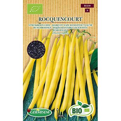 Germisem BIO Stangenbohnen ROCQUENCOURT 80g, ECBIO1210 Germisem BIO Stangenbohnen ROCQUENCOURT 80g, ECBIO1210