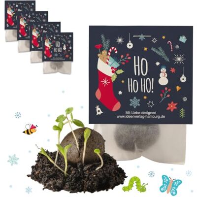 Ideenverlag HAMBURG 4x "Ho Ho Ho" Winter Samenbomben Weihnachten inkl. Grußkärtchen Kleines Dankeschön Geschenk Nikolaus Adventskalender Füllung Handarbeit Made in Germany Kaltkeimer Blumensamen Gastgeschenk Ideenverlag HAMBURG 4x "Ho Ho Ho" Winter Samenbomben Weihnachten inkl. Grußkärtchen Kleines Dankeschön Geschenk Nikolaus Adventskalender Füllung Handarbeit Made in Germany Kaltkeimer Blumensamen Gastgeschenk