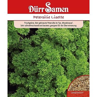 Dürr-Samen Petersilie Samen LisettePetersiliesamen ca 2000 Korn Küchenkräuter Kräutersamen Saatgut Balkon Garten Hochbeet Kübel Dürr Samen Dürr-Samen Petersilie Samen LisettePetersiliesamen ca 2000 Korn Küchenkräuter Kräutersamen Saatgut Balkon Garten Hochbeet Kübel Dürr Samen