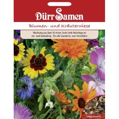 Dürr-Samen Blumen- und Kräuterwiese 50 Arten ein- und mehrjährige Saatgut Dürr-Samen Blumen- und Kräuterwiese 50 Arten ein- und mehrjährige Saatgut