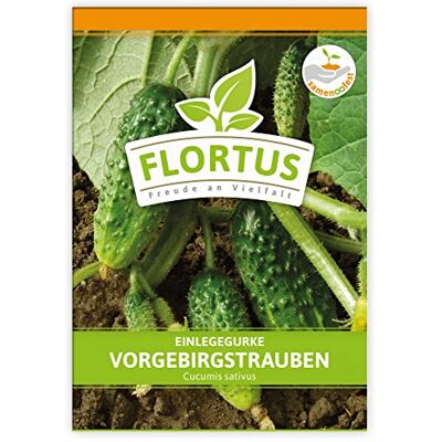 FLORTUS Freude an Vielfalt FLORTUS Einlegegurke Vorgebirgstrauben Gemüsesamen Gurkensamen Einlegegurkensamen Samen zur Anzucht für Garten, Balkon, Küche & Fensterbank FLORTUS Freude an Vielfalt FLORTUS Einlegegurke Vorgebirgstrauben Gemüsesamen Gurkensamen Einlegegurkensamen Samen zur Anzucht für Garten, Balkon, Küche & Fensterbank