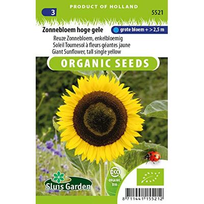 Arborix Sonnenblume Tall Single, Gelb Arborix Sonnenblume Tall Single, Gelb