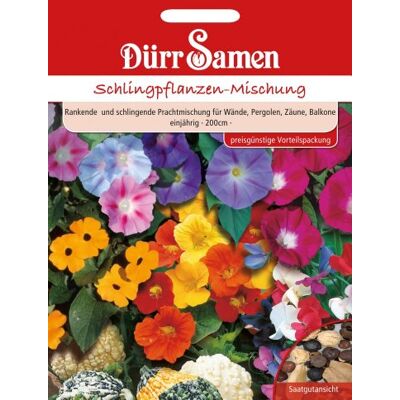 Dürr-Samen Dürr Samen 1065 Schlingpflanze Mischung (Schlingpflanzensamen) Dürr-Samen Dürr Samen 1065 Schlingpflanze Mischung (Schlingpflanzensamen)