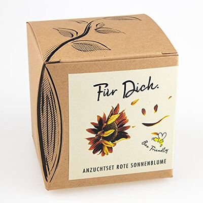 NATUR KRAFTWERK Geschenk-Anzuchtset"Für Dich" Sonnenblume Abendrot NATUR KRAFTWERK Geschenk-Anzuchtset"Für Dich" Sonnenblume Abendrot