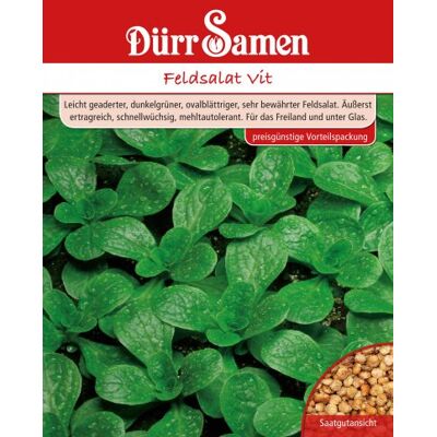 Dürr-Samen Feldsalat Vit 250 g Saatgut Dürr-Samen Feldsalat Vit 250 g Saatgut