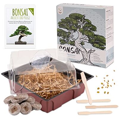 HappySeed Bonsai Starter Kit Anzuchtset inkl. GRATIS eBook Pflanzset aus Mini-Gewächshaus, Samen & Erde nachhaltige Geschenkidee für Pflanzenfreunde (Samen: Afrikanischer Blauregen + Zwerg-Granatapfel) HappySeed Bonsai Starter Kit Anzuchtset inkl. GRATIS eBook Pflanzset aus Mini-Gewächshaus, Samen & Erde nachhaltige Geschenkidee für Pflanzenfreunde (Samen: Afrikanischer Blauregen + Zwerg-Granatapfel)