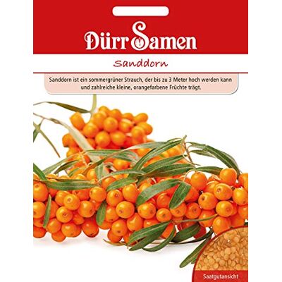 Dürr-Samen Dürr Samen 4463 Sanddorn (Sanddornsamen) Dürr-Samen Dürr Samen 4463 Sanddorn (Sanddornsamen)