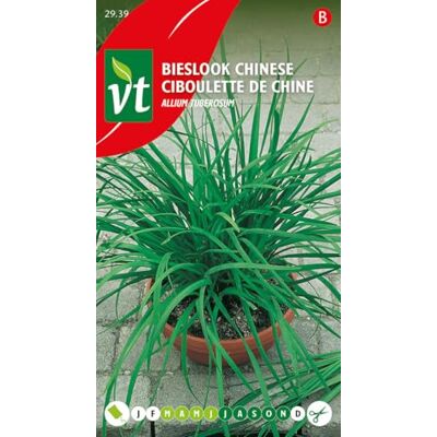 Arborix Schnittlauch aus China Samen Arborix Schnittlauch aus China Samen