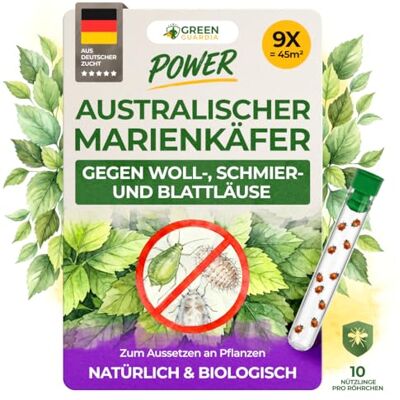 GREEN GUARDIA Cryptolaemus gegen Schmierläuse, Wollläuse & Blattläuse – 9 x 10 Nützlinge für ca. 45m² -Australischer Marienkäfer – Nützlinge für biologische Schädlingsbekämpfung an Pflanzen GREEN GUARDIA Cryptolaemus gegen Schmierläuse, Wollläuse & Blattläuse – 9 x 10 Nützlinge für ca. 45m² -Australischer Marienkäfer – Nützlinge für biologische Schädlingsbekämpfung an Pflanzen