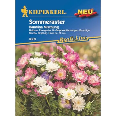 Kiepenkerl Profi-Line Zwergasternsamen Bambina Mischung 3389 – Sommeraster für Gruppenpflanzungen Einjährig Höhe ca. 30 cm Blumensamen, Saatgut Kiepenkerl Profi-Line Zwergasternsamen Bambina Mischung 3389 – Sommeraster für Gruppenpflanzungen Einjährig Höhe ca. 30 cm Blumensamen, Saatgut