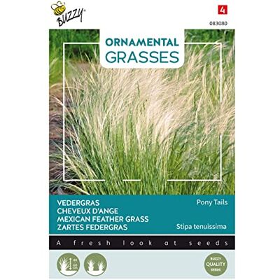 Arborix Buzzy Ornamental Grasses, Zartes Federgras 'Pony Tails' Arborix Buzzy Ornamental Grasses, Zartes Federgras 'Pony Tails'