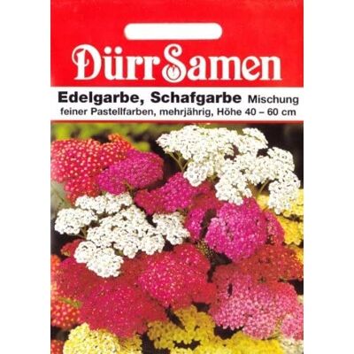 Dürr-Samen Schafgarbe Samen Edelgarbe Schafgarbensamen Achillea millefolium, ca. 150 SamenSchnittblume ca 150 Korn Bienen Insekten Freundlich Saatgut Garten Hochbeet Kübel Dürr Samen Dürr-Samen Schafgarbe Samen Edelgarbe Schafgarbensamen Achillea millefolium, ca. 150 SamenSchnittblume ca 150 Korn Bienen Insekten Freundlich Saatgut Garten Hochbeet Kübel Dürr Samen
