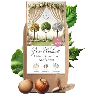Little Plants Hochzeitsgeschenk Anzuchtset Liebesbäume Hochzeitsgeschenke für Brautpaar Liebesbäume Geschenk Hochzeit kleine Aufmerksamkeit Hochzeitsbaum Baum Pflanzen Samen Set (Variante 3) Little Plants Hochzeitsgeschenk Anzuchtset Liebesbäume Hochzeitsgeschenke für Brautpaar Liebesbäume Geschenk Hochzeit kleine Aufmerksamkeit Hochzeitsbaum Baum Pflanzen Samen Set (Variante 3)