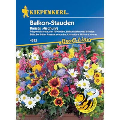 Kiepenkerl Profi-Line Blumensamen-Mischung Balkon-Stauden Baristo 4392 Pflegeleichte Stauden Höhe ca. 40cm Saatgut, Blumenwiese Samen Kiepenkerl Profi-Line Blumensamen-Mischung Balkon-Stauden Baristo 4392 Pflegeleichte Stauden Höhe ca. 40cm Saatgut, Blumenwiese Samen