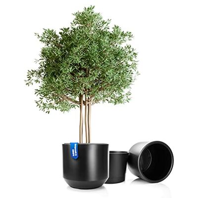 BigDean 2X Blumentopf ø 58 cm anthrazit + Innentopf Blumenkübel XL wetterfester Pflanztopf groß aus bruchsicherem Kunststoff Pflanzkübel groß Außen & Innen geeignet BigDean 2X Blumentopf ø 58 cm anthrazit + Innentopf Blumenkübel XL wetterfester Pflanztopf groß aus bruchsicherem Kunststoff Pflanzkübel groß Außen & Innen geeignet