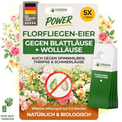 GREEN GUARDIA Power Florfliegenlarven gegen Blattläuse, Wollläuse, Thripse & Spinnmilben – Biologische Schädlingsbekämpfung für Zimmerpflanzen & Zierpflanzen – 5 Karten GREEN GUARDIA Power Florfliegenlarven gegen Blattläuse, Wollläuse, Thripse & Spinnmilben – Biologische Schädlingsbekämpfung für Zimmerpflanzen & Zierpflanzen – 5 Karten