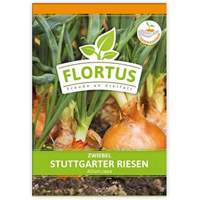 FLORTUS Freude an Vielfalt FLORTUS Zwiebel Stuttgarter Riesen Gemüsesamen Zwiebelsamen Samen zur Anzucht für Garten, Balkon, Küche & Fensterbank FLORTUS Freude an Vielfalt FLORTUS Zwiebel Stuttgarter Riesen Gemüsesamen Zwiebelsamen Samen zur Anzucht für Garten, Balkon, Küche & Fensterbank
