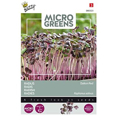 Arborix Buzzy Microgreens, Radies Daikon Rot Arborix Buzzy Microgreens, Radies Daikon Rot