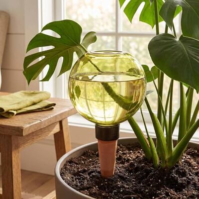Generic BewäSserungskugeln, 500ml Automatische Pflanzen Bewässerung, Selbstbewässerung Bewässerungskugel Wasserspender Pflanzenbewässerung von Zimmer Balkon und Gartenpflanzen Anschluss Generic BewäSserungskugeln, 500ml Automatische Pflanzen Bewässerung, Selbstbewässerung Bewässerungskugel Wasserspender Pflanzenbewässerung von Zimmer Balkon und Gartenpflanzen Anschluss
