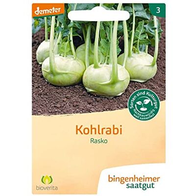 Bingenheimer Saatgut Kohlrabi, Rasko Bingenheimer Saatgut Kohlrabi, Rasko