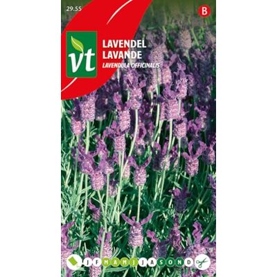 Arborix Lavendel Samen Arborix Lavendel Samen