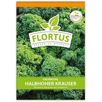 FLORTUS Freude an Vielfalt FLORTUS Grünkohl Halbhoher Krauser Gemüsesamen Kohlsamen Grünkohlsamen Samen zur Anzucht für Garten, Balkon, Küche & Fensterbank FLORTUS Freude an Vielfalt FLORTUS Grünkohl Halbhoher Krauser Gemüsesamen Kohlsamen Grünkohlsamen Samen zur Anzucht für Garten, Balkon, Küche & Fensterbank
