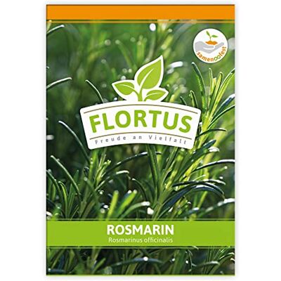 FLORTUS Freude an Vielfalt FLORTUS Rosmarin Kräutersamen Rosmarinsamen Samen zur Anzucht für Garten, Balkon, Küche & Fensterbank FLORTUS Freude an Vielfalt FLORTUS Rosmarin Kräutersamen Rosmarinsamen Samen zur Anzucht für Garten, Balkon, Küche & Fensterbank