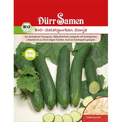 Dürr-Samen Gurken (Bio Salatguken Sonja) Dürr-Samen Gurken (Bio Salatguken Sonja)