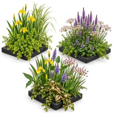 vdvelde.com Pflanzinsel Teich 3er Set mit 12 Wasserpflanzen, schwimmend Natürlicher Schutz vor Mückenlarven, klares Gartenteich Wasser, inklusive Körbe, Substrat und Dünger vdvelde.com Pflanzinsel Teich 3er Set mit 12 Wasserpflanzen, schwimmend Natürlicher Schutz vor Mückenlarven, klares Gartenteich Wasser, inklusive Körbe, Substrat und Dünger