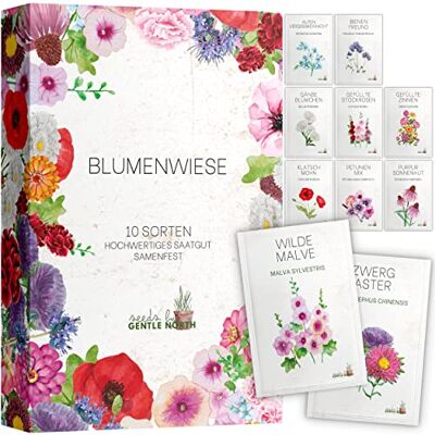 Gentle North Blumen Samen Set 10 bunte Blumensamen Sorten für den Garten oder Balkon, die Bienenweide und Wildblumenwiese Blumenwiese Samen bunte Wildblumensamen Mischung Gentle North Blumen Samen Set 10 bunte Blumensamen Sorten für den Garten oder Balkon, die Bienenweide und Wildblumenwiese Blumenwiese Samen bunte Wildblumensamen Mischung