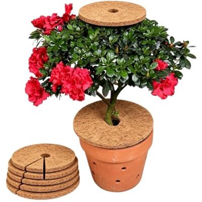 Zqemy 8 x natürliche Kokosfaser-Mulchmatten Blumentopf-Scheiben-Pad, warmes Feuchtigkeitskissen für den Garten, praktische Unkrautbekämpfung, Zubehör (25 cm) Zqemy 8 x natürliche Kokosfaser-Mulchmatten Blumentopf-Scheiben-Pad, warmes Feuchtigkeitskissen für den Garten, praktische Unkrautbekämpfung, Zubehör (25 cm)