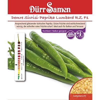 Dürr-Samen Demre Sivrisi-Paprika Lumbard RZ F1 Saatgut Dürr-Samen Demre Sivrisi-Paprika Lumbard RZ F1 Saatgut