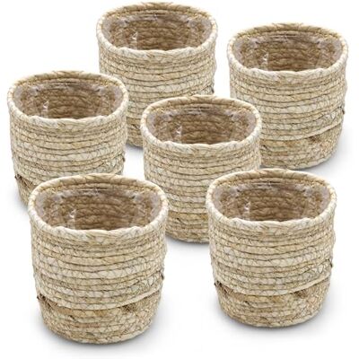 Spetebo Mini Blumentopf aus Grasgeflecht 10 cm 6er Set Pflanzgefäß aus Naturfasern mit Folie ausgekleidet Zimmer Pflanzen Umtopf Stroh Körbchen Seegras Flechtkorb Kräutertopf Spetebo Mini Blumentopf aus Grasgeflecht 10 cm 6er Set Pflanzgefäß aus Naturfasern mit Folie ausgekleidet Zimmer Pflanzen Umtopf Stroh Körbchen Seegras Flechtkorb Kräutertopf