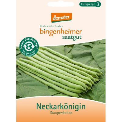 Bingenheimer Saatgut Stangenbohne Neckarkönigin Gemüse Saatgut / Samen Bingenheimer Saatgut Stangenbohne Neckarkönigin Gemüse Saatgut / Samen