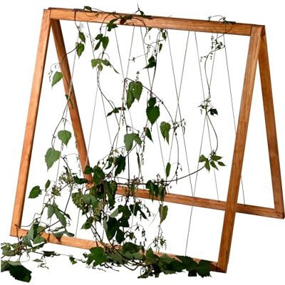 Dobar e-Commerce GmbH Rankhilfe-Aufsatz für Hochbeet »Kubus« - Holz / Hanf - Gartenstütze Dobar e-Commerce GmbH Rankhilfe-Aufsatz für Hochbeet »Kubus« - Holz / Hanf - Gartenstütze