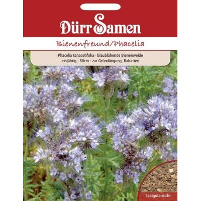 Dürr-Samen Gründüngung Phacelia Büschelschön 400 g Saatgut Dürr-Samen Gründüngung Phacelia Büschelschön 400 g Saatgut