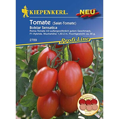 Kiepenkerl 2789 Salat-Tomaten Bolstar Sensatica (Salat-Tomatensamen) Kiepenkerl 2789 Salat-Tomaten Bolstar Sensatica (Salat-Tomatensamen)