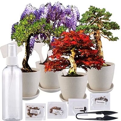 Royal Gardineer Bonsai Set: Bonsai-Anzuchtset, 4 Arten, Töpfe, Untersetzer, Clipper, Sprühflasche (Pflanzen-Anzuchtsets, Anzucht, Topf) Royal Gardineer Bonsai Set: Bonsai-Anzuchtset, 4 Arten, Töpfe, Untersetzer, Clipper, Sprühflasche (Pflanzen-Anzuchtsets, Anzucht, Topf)