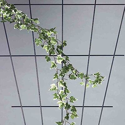 Siena Garden V-Spaliergitter, 150x75cm, 763766 Siena Garden V-Spaliergitter, 150x75cm, 763766