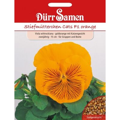 Dürr-Samen Dürr Samen 1438 Stiefmütterchen Cats F1 orange (Stiefmütterchensamen) Dürr-Samen Dürr Samen 1438 Stiefmütterchen Cats F1 orange (Stiefmütterchensamen)