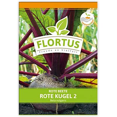 FLORTUS Freude an Vielfalt FLORTUS Rote Beete Rote Kugel 2 Gemüsesamen Rübensamen Rote Beetesamen Samen zur Anzucht für Garten, Balkon, Küche & Fensterbank FLORTUS Freude an Vielfalt FLORTUS Rote Beete Rote Kugel 2 Gemüsesamen Rübensamen Rote Beetesamen Samen zur Anzucht für Garten, Balkon, Küche & Fensterbank
