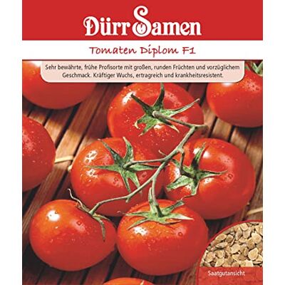 Dürr-Samen Tomaten Diplom F1 Saatgut Dürr-Samen Tomaten Diplom F1 Saatgut