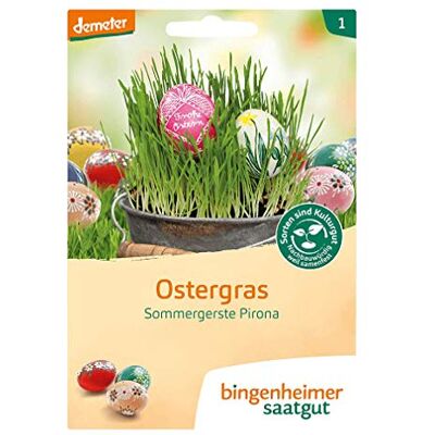 Bingenheimer Saatgut Bio Ostergras, Sommergerste Pirona, 1 Tüte Bingenheimer Saatgut Bio Ostergras, Sommergerste Pirona, 1 Tüte